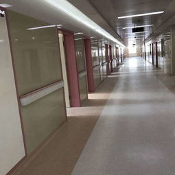 天津智領(lǐng) 以新型建材鑄造綠色未來(lái)